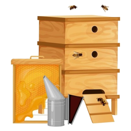 Cosmética natural Cosmética natural