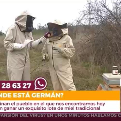 "Está pasando" (Telemadrid) "Está pasando" (Telemadrid)