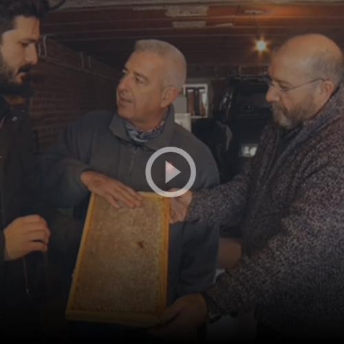 "Aquí la Tierra" (TVE) "Aquí la Tierra" (TVE)