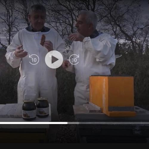 "Aquí la Tierra" (TVE) "Aquí la Tierra" (TVE)