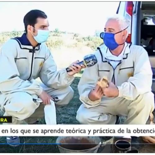 "Madrid Directo" (Telemadrid) "Madrid Directo" (Telemadrid)