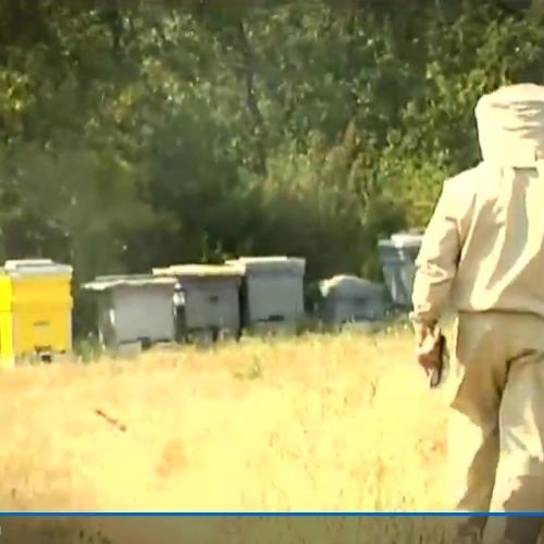 "La Redacción" (Telemadrid) "La Redacción" (Telemadrid)