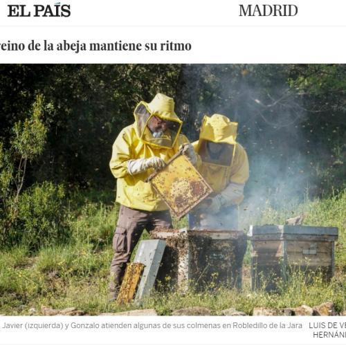 El País El País